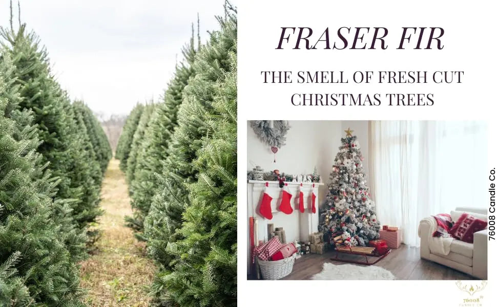 76008 Candle Co. Fraser Fir Scented Candle | Luxury Home Scented Candles | Holiday Candles For Home | Candles that smell like a Christmas Tree 76008 Candle Co. LLC