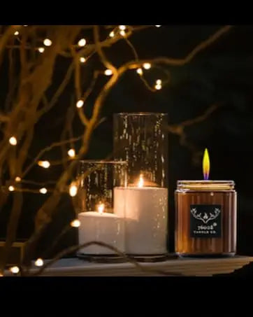 76008 Candle Co. Fraser Fir Scented Candle | Luxury Home Scented Candles | Holiday Candles For Home | Candles that smell like a Christmas Tree 76008 Candle Co. LLC